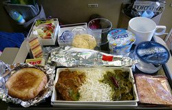 एयर इंडिया के खाने में मक्खी!