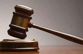 sexual desire, cruelty, divorce, overweight, Delhi High Court, Marriage, humiliation, failed marriage