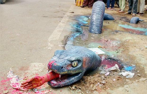एनाकॉन्डा, बेंगलुरू, anaconda, bengaluru, crocodile, streets, painting, sewage, trafic jam