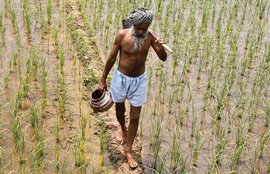 farmer suicides, farmer suicides karnataka, karnataka police, karnataka state financiers, karnataka news, latest news