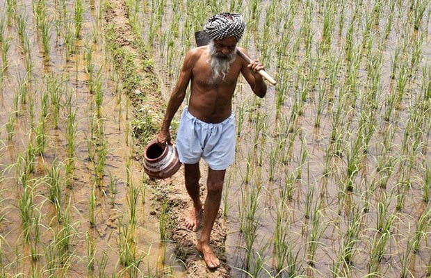 farmer suicides, farmer suicides karnataka, karnataka police, karnataka state financiers, karnataka news, latest news