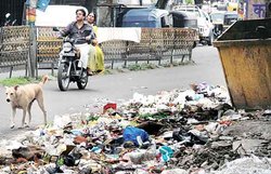 मुफ्त Wi-Fi चाहिए, तो कूड़ा कूड़ेदान में ही डालें