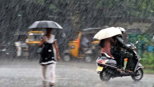 पंजाब, हरियाणा, पंजाब हरियाणा में बारिश, बारिश, मॉनसून समाचार, rain, rain in panjab, rain in hariyana, monsoon news