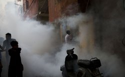 दिल्ली: डेंगू मरीजों को भर्ती करने से इंकार करने वाले अस्पतालों पर होगी कार्रवाई