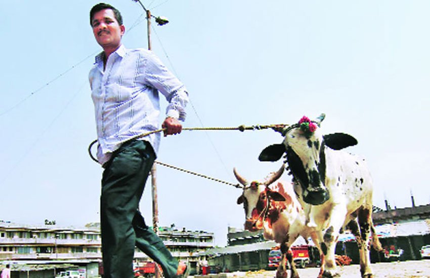 beef ban, jk beef ban, beef ban jk, jk high court, jk high court beef ban order, jk beef, jk police, jk news, kashmir news, india news