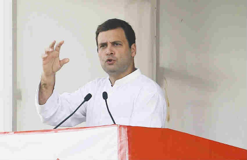 राहुल गांधी ने वृन्दावन में ठाकुर बांके बिहारी के दर्शन कर पार्टी के उज्जवल भविष्य की कामना की। (पीटीआई फाइल फोटो)