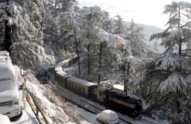 Kalka-Shimla Toy Train Derails, 2 Foreigners Killed