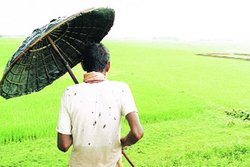 अधिग्रहण का जमीनी सबक