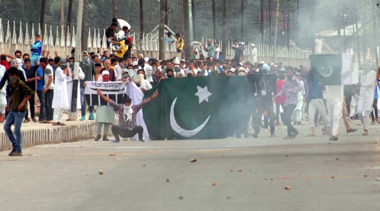 pak flags-seen-at-the-protest-against-beef-ban-in-srinagar