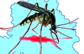 Dengue fever, new delhi, noida, 2 died, 300 affected, medical news, delhi news