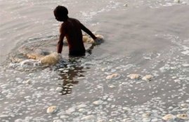 NGT, namami ganga project, namami ganga, Ganga, Ganga Pollution, Uma Bharti, Narendra Modi