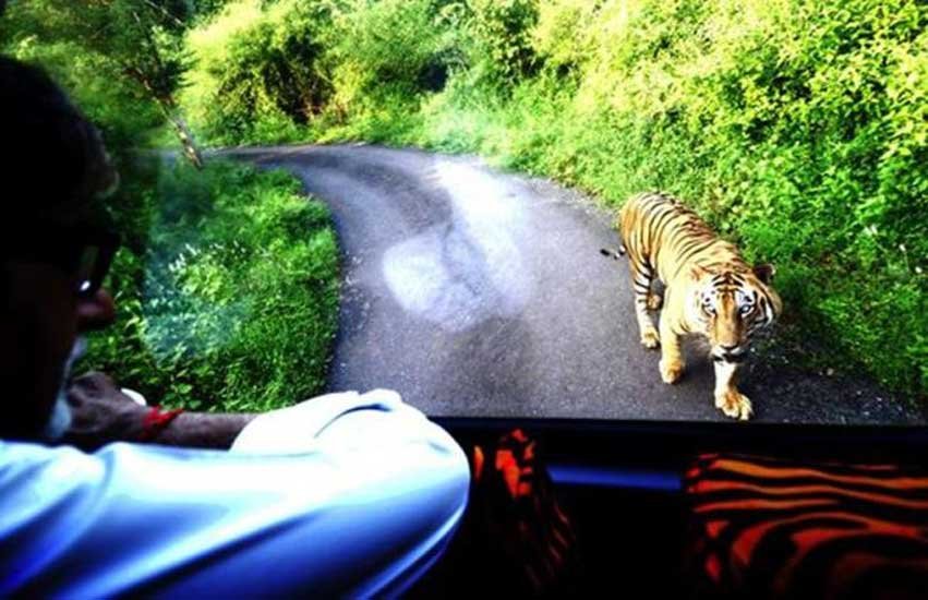 हिंसा, सांप्रदायिक तनाव, विरोध प्रदर्शन, बंद, प्रतिबंध, गोहत्या, गोवध, कश्मीर घाटी, कर्फ्यू, Kashmir protest
