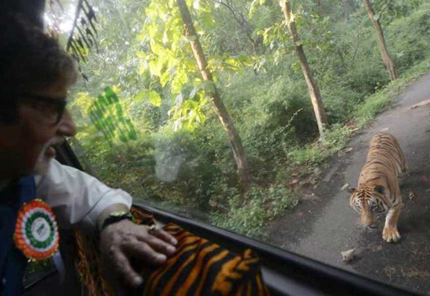 हिंसा, सांप्रदायिक तनाव, विरोध प्रदर्शन, बंद, प्रतिबंध, गोहत्या, गोवध, कश्मीर घाटी, कर्फ्यू, Kashmir protest