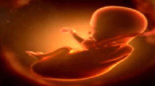 Dead foetus, west bangal, docters, झाड़ग्राम, पश्चिम बंगाल, चार साल, बच्चा पेटमृत भ्रूण