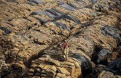 अन्न की बर्बादी और भूख