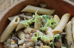 फिर से विवादों में फसंदी Nestle India, मैगी के बाद पास्ता में पाया लेड, खाने में UnSafe