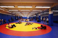 टिफसा विश्व खेलों में कुश्ती में भारत ने जीते चार पदक