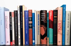 चंद्रकांता शर्मा का लेख : मौजूदा दौर में बाल साहित्य