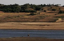 chambal valley dacoits, chambal ghati dacoits, chambal dacoits, chambal Latest News, Dholpur chambal ghati