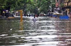 इस त्रासदी के लिए जिम्मेवार कौन