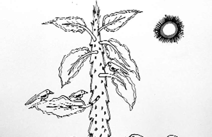 ज्ञान-विज्ञान : प्रकाश का रहस्य