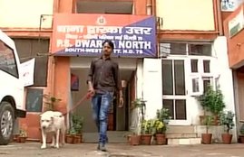 सोमनाथ भारती, घरेलू हिंसा केस, घरेलू हिंसा सोमनाथ भारती, कानून मंत्री भारती, सोमनाथ भारती कुत्‍ता, सोमनाथ भारती डॉन, लिपिका मित्रा, सोमनाथ लिपिका, somnath bharti, somnath bharti dog, somnath bharti don, somnath bharti case, somnath bharti wife, Bharti wife Lipika, Lipika dog bite, AAP
