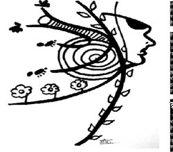 मुसद्दीलाल का क्रिकेट प्रेम