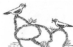 अंतर: कितना असली, कितना नकली