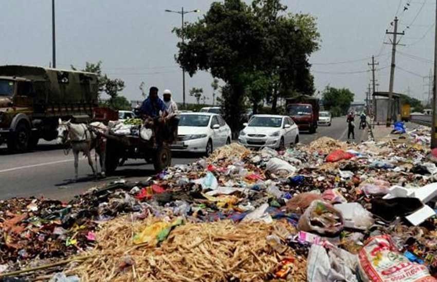 डेंगू, कुत्तों, कूड़े के अंबार ने एमसीडी को सुर्खियों में रखा
