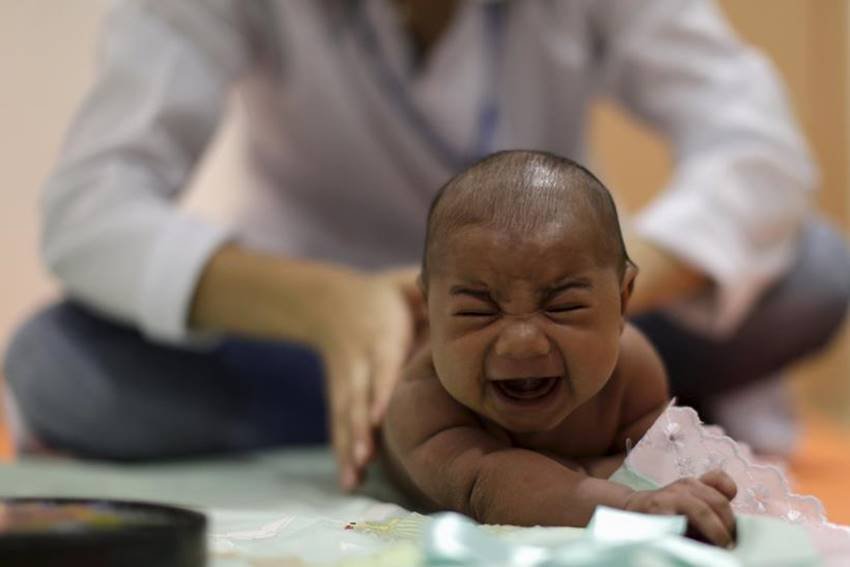 zika virus microcefalia zika zika virus microcefalia