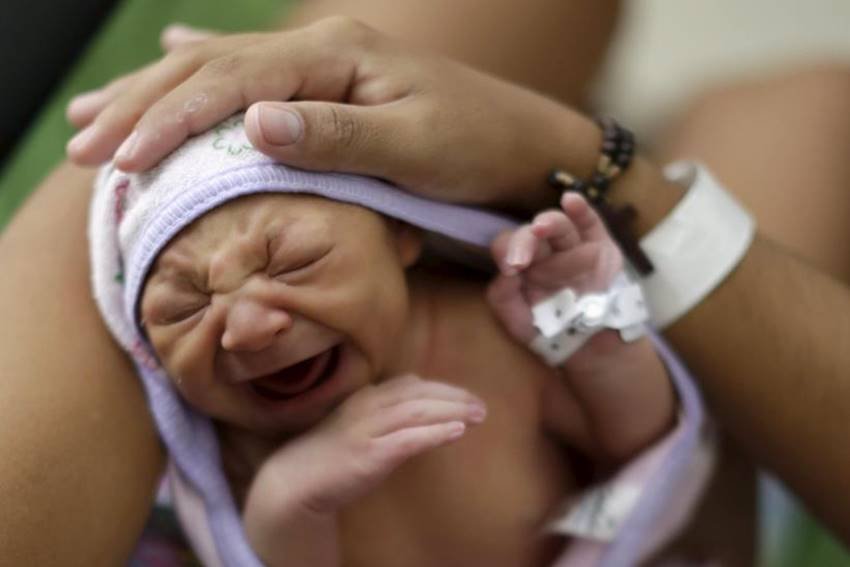 zika virus microcefalia zika zika virus microcefalia
