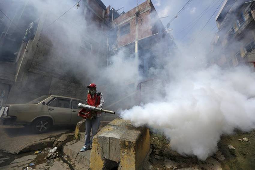 zika virus microcefalia zika zika virus microcefalia