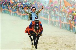 Aamir Khan, Makar Sakranti, Aamir Khan kites, Dangal