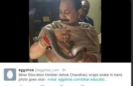 Ashok Chaudhary, snake photos, Makar Sankranti , Nitish Kumar, snake charmer, Viral Photo, bihar education minister, 2015 Bihar Elections