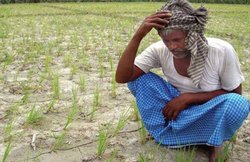 BSP को अकाल से जूझ रहे बुंदेलखंड के किसानों की आई याद