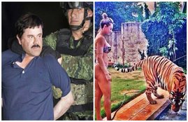 el chapo, el chapo escape, el chapo capture, guzman capture, guzman extradition, u.s. custody, el chapo, Mexico, Americas, Drugs trade, e;l chapo photos, el chapo guzmen house, el chapo guzman wife