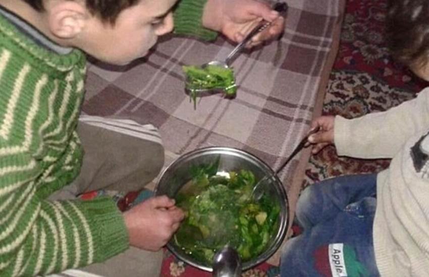 Horror of the starving, eat cats, eat dogs, eat grass, food supplie, Syrians trapped, ISIS news, Bashar Al Assad, besieged villages, isis syria, सीरिया, भुखमरी, घास, कुत्‍ता, बिल्‍ली, फूड सप्‍लाई, खाद्य आपूर्ति, बशर अली असद, आईएसआईएस, सीरियाई विद्रोही, latest syria news, news in hindi, hindi news