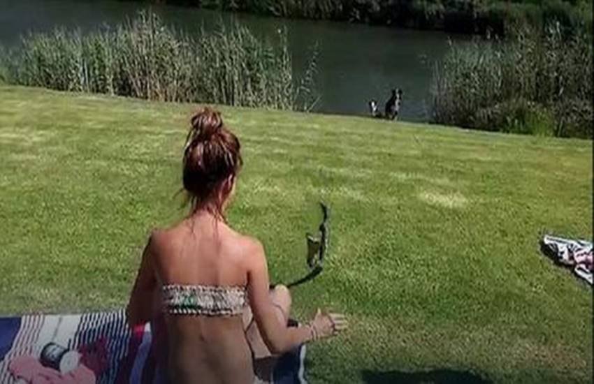 Bikini Girl, Cobra, south africa, Sunbathing