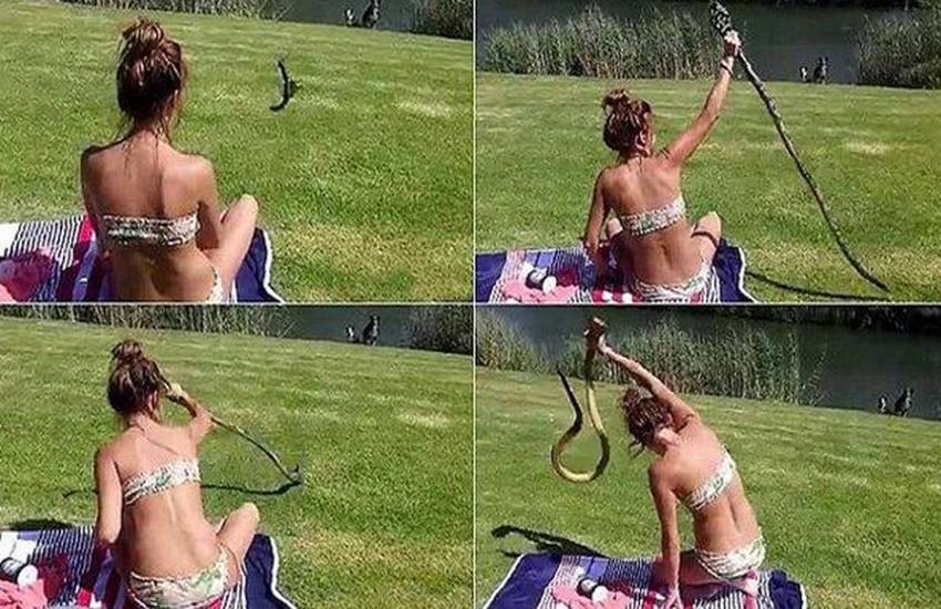 Bikini Girl, Cobra, south africa, Sunbathing