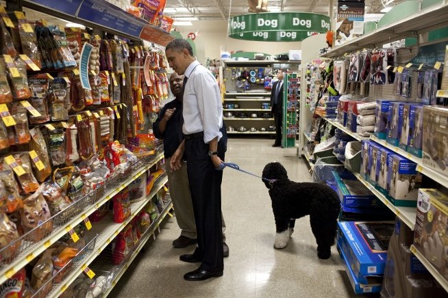 Bo and sunny, obama dog, kidnap Obama dog, obama dog kidnap, photos obama dog kidnap, Barack Obama, बराक ओबामा, अमेरिकी राष्ट्रपति, ओबामा के कुत्ते, यूएस प्रेजिडेंट, latest hindi news, international news, word news in hindi
