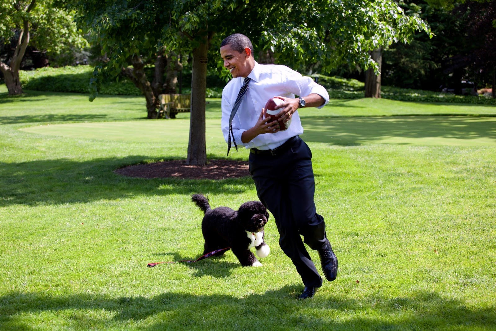Bo and sunny, obama dog, kidnap Obama dog, obama dog kidnap, photos obama dog kidnap, Barack Obama, बराक ओबामा, अमेरिकी राष्ट्रपति, ओबामा के कुत्ते, यूएस प्रेजिडेंट, latest hindi news, international news, word news in hindi