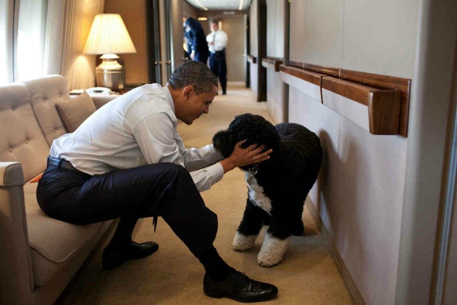 Bo and sunny, obama dog, kidnap Obama dog, obama dog kidnap, photos obama dog kidnap, Barack Obama, बराक ओबामा, अमेरिकी राष्ट्रपति, ओबामा के कुत्ते, यूएस प्रेजिडेंट, latest hindi news, international news, word news in hindi