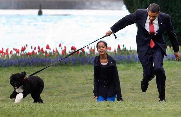 Bo and sunny, obama dog, kidnap Obama dog, obama dog kidnap, photos obama dog kidnap, Barack Obama, बराक ओबामा, अमेरिकी राष्ट्रपति, ओबामा के कुत्ते, यूएस प्रेजिडेंट, latest hindi news, international news, word news in hindi