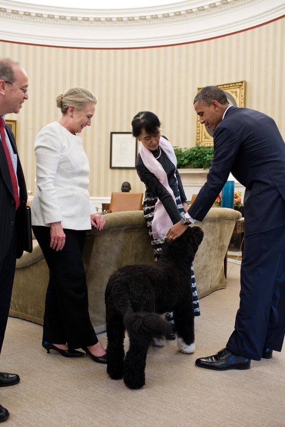 Bo and sunny, obama dog, kidnap Obama dog, obama dog kidnap, photos obama dog kidnap, Barack Obama, बराक ओबामा, अमेरिकी राष्ट्रपति, ओबामा के कुत्ते, यूएस प्रेजिडेंट, latest hindi news, international news, word news in hindi