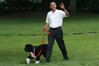 Bo and sunny, obama dog, kidnap Obama dog, obama dog kidnap, photos obama dog kidnap, Barack Obama, बराक ओबामा, अमेरिकी राष्ट्रपति, ओबामा के कुत्ते, यूएस प्रेजिडेंट, latest hindi news, international news, word news in hindi
