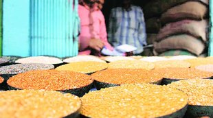 khesari dal, khesari dal ban, ICMR, Indian Council of Medical Research, khjesari dal ban remove, khesari dal safe, RTI, FSSAI, india news, nation news