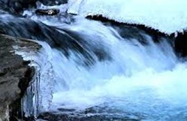Punjab, pilgrims, died, sank, river, dharmshala, himachal