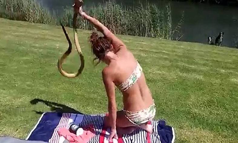 Bikini Girl, Cobra, south africa, Sunbathing