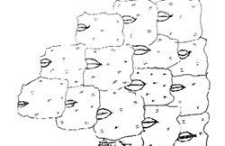 तालीमः खामियों से भरी बुनियादी शिक्षा