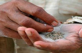 Delhi police, Delhi police duty, delhi court, tabacco